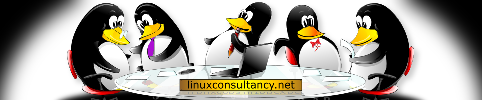 Linuxconsultancy.net logo